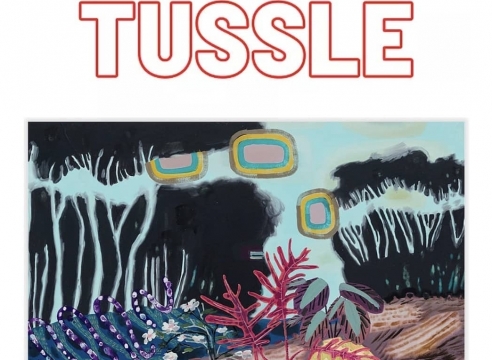 Melanie Daniel review in Tussle Magazine Projects