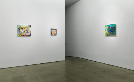 Installation view of Carolyn Case, "Before It Sinks In"