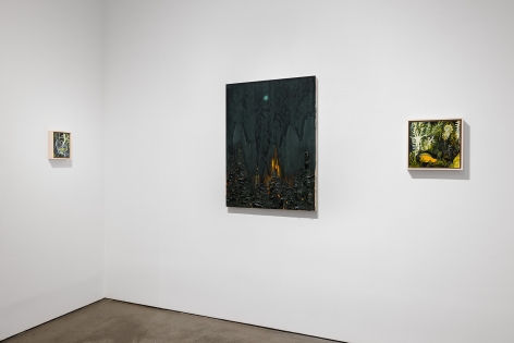 Installation view of "A Window Scrubbed for the Moon"