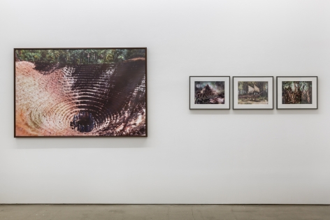 An installation view of Jasper de Beijer's exhibition, "The Brazilian Suitcase". Large and small framed photographs are on the walls.